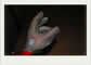 Edelstahl-Handschuhe mit Metallhandschuhen für den Schnitt für industrielles