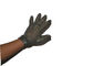 Schützendes Edelstahl-Handschuh-Nylon und Metallgurt für Metzger