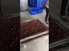 mit einer Breite von nicht mehr als 20 mm,