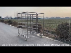 Anpassungsgröße Edelstahl-Träger-Träger