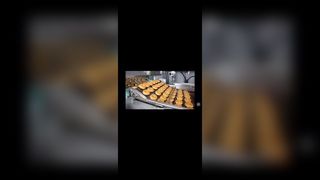 Edelstahl-Pizzaofen-Leiter, Kettenglied-Förderer, Flachdrahtgeflecht, Flexband zum Umhüllen von Schokolade,