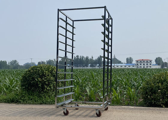 Doppellinie mit Bremse und ohne Bremse aus Edelstahl 201 304 316 / Aluminium-Rak-Trolley