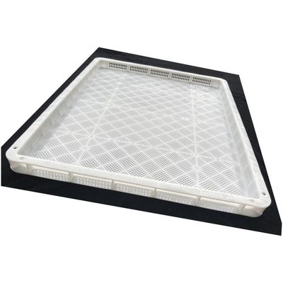 Ein guter Preis. Perforierte trocknungsfähige Kunststoffschalen für Lebensmittel, die zum Einfrieren von Früchten, Gemüse und Meeresfrüchten verwendet werden Online