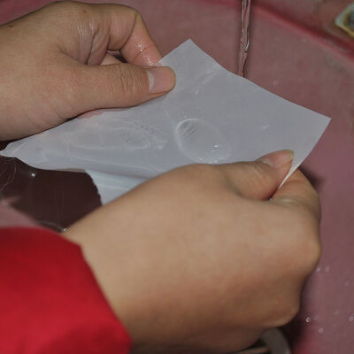 Ein guter Preis. Wasserdichte Behandlung 120 Mikron Polyester Filtermaschengewebe Online